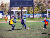 игры 10.05